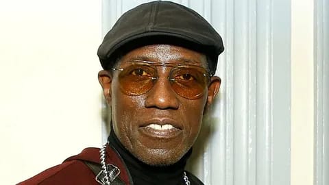 Wesley Snipes Biography